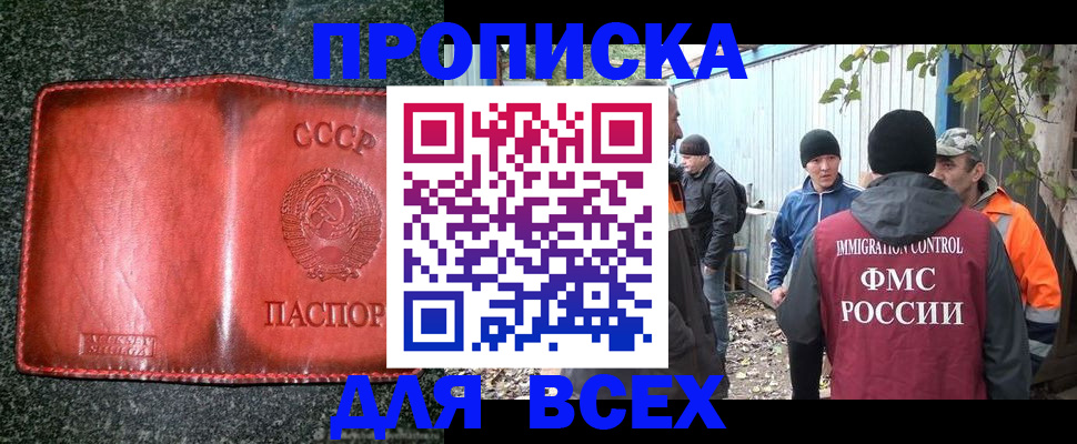 временная регистрация поиск в Мурманской области